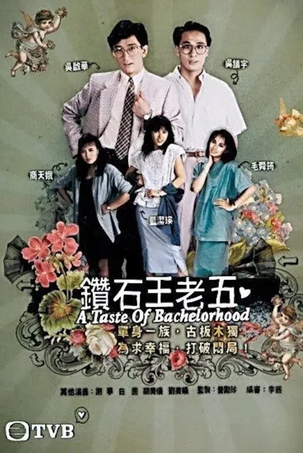 Poster phim Anh Chàng Độc Thân trên SubNhanh