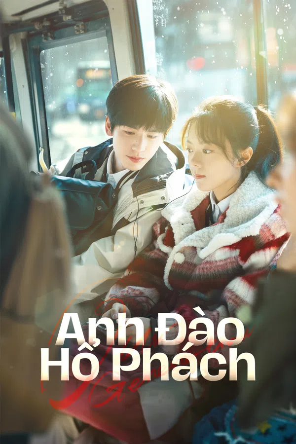Xem Phim Anh Đào Hổ Phách Vietsub HD Online