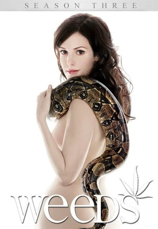 Poster phim Cần Sa (Phần 3) trên SubNhanh