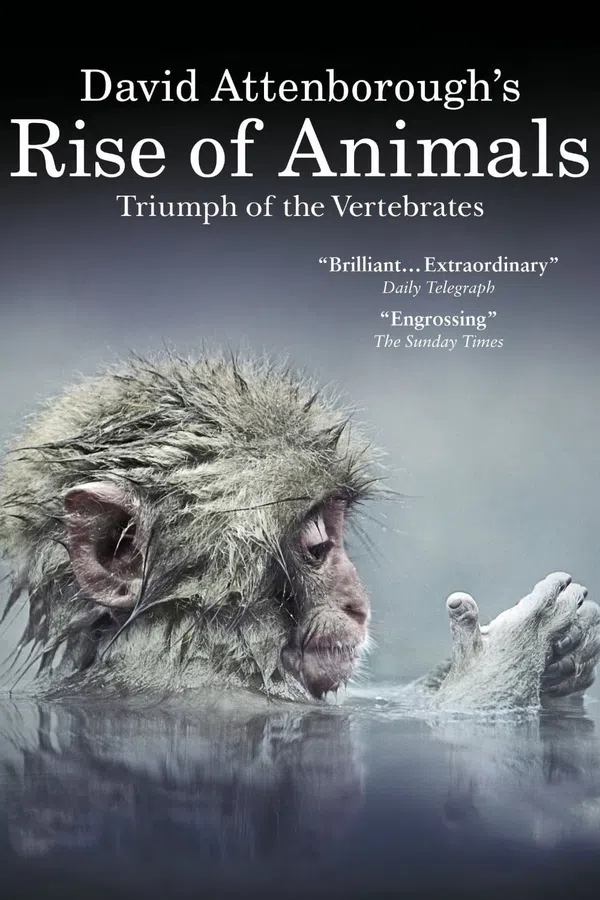 Poster phim David Attenborough's Rise of Animals: Triumph of the Vertebrates trên SubNhanh