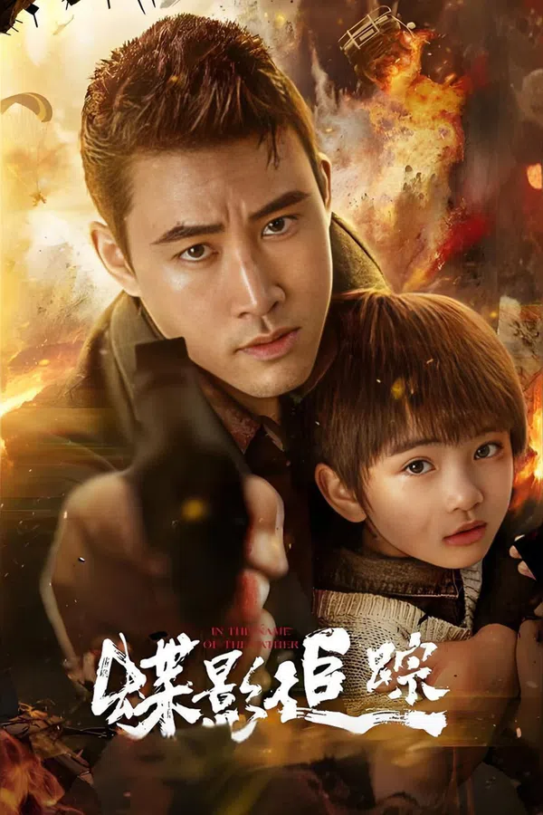 Poster phim Điệp Ảnh Truy Tung trên SubNhanh