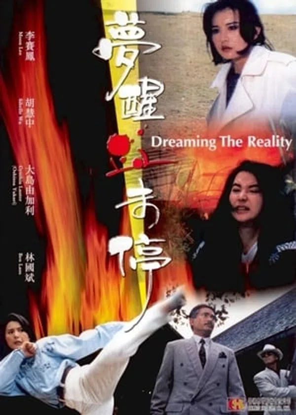 Poster phim Giấc Mộng Nữ Sát Thủ trên SubNhanh