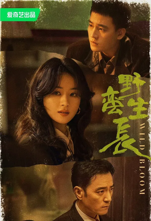 Poster phim Gió Thổi Bán Hạ (Dã Man Sinh Trưởng) trên SubNhanh