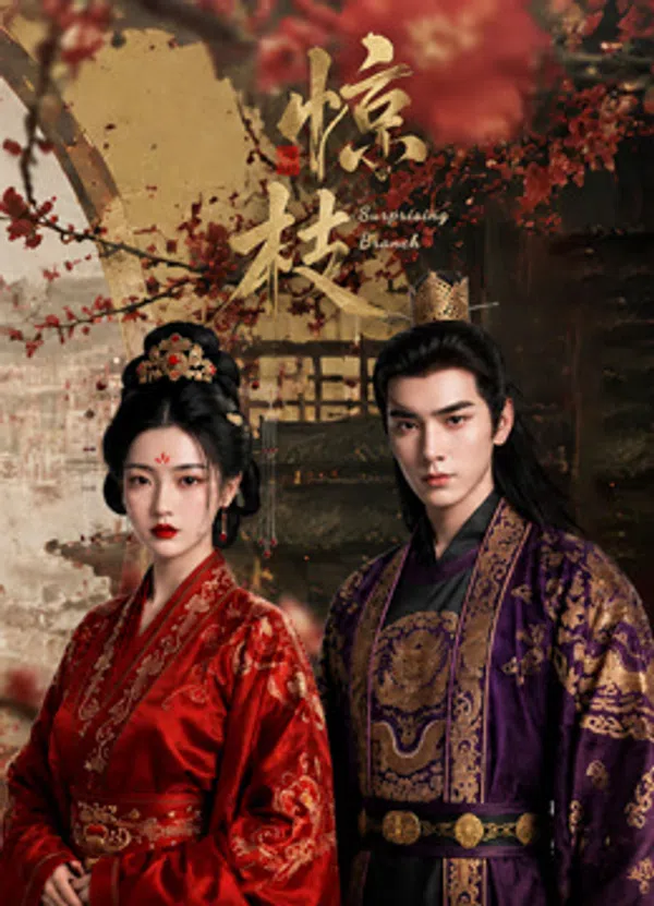 Poster phim Kinh Chi trên SubNhanh