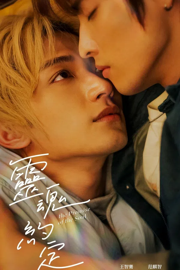Poster phim Lời Ước Định Của Linh Hồn trên SubNhanh