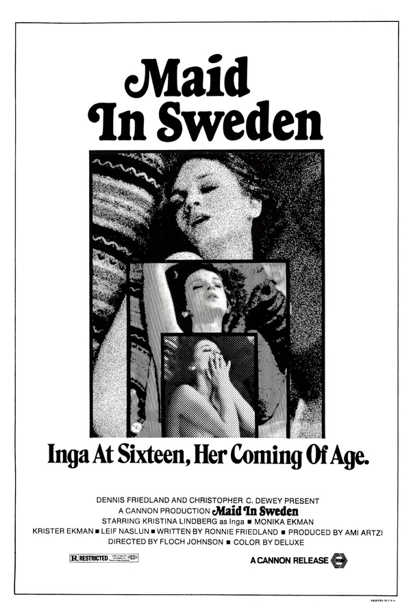 Poster phim Maid in Sweden trên SubNhanh