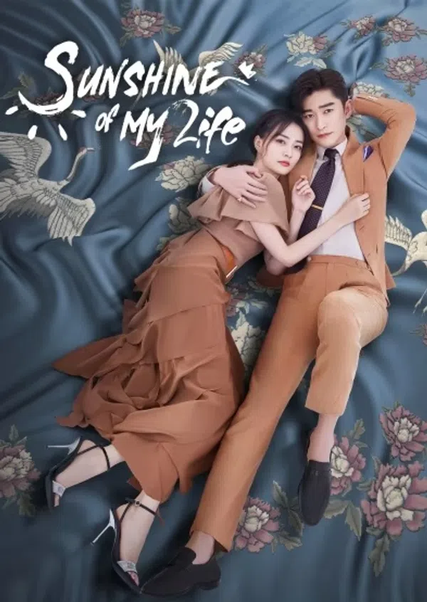 Poster phim Nếu Em Bình An Đó Mới Là Ngày Đẹp Trời trên SubNhanh