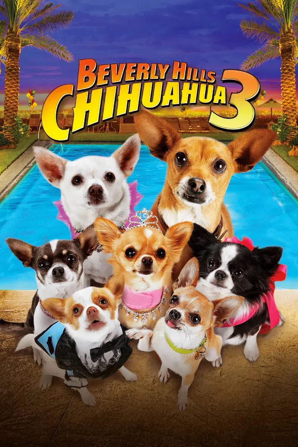 Poster phim Những Chú Chó Chihuahua 3 trên SubNhanh