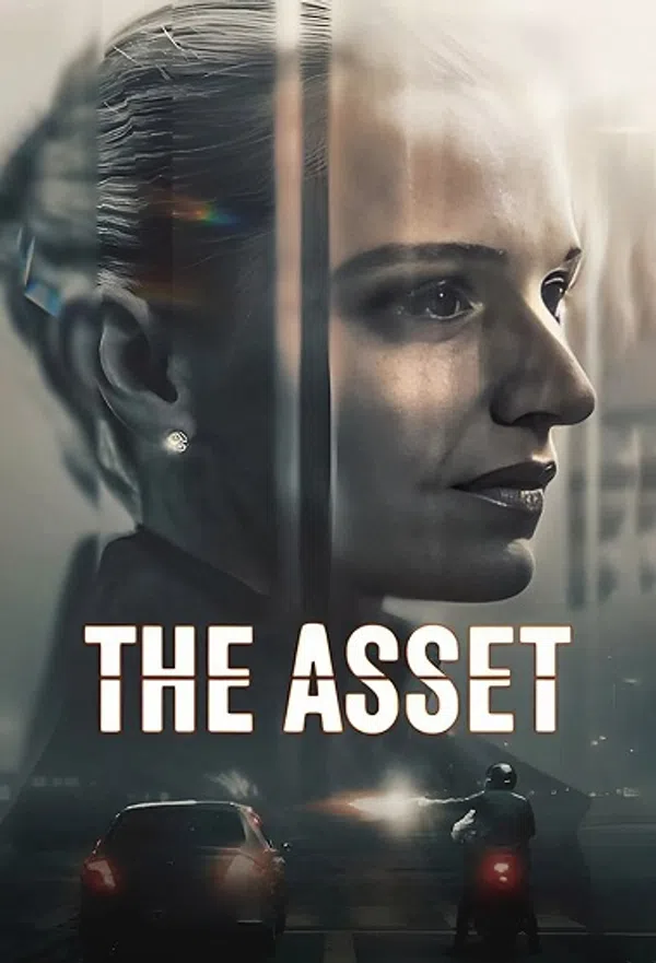 Poster phim The Asset trên SubNhanh
