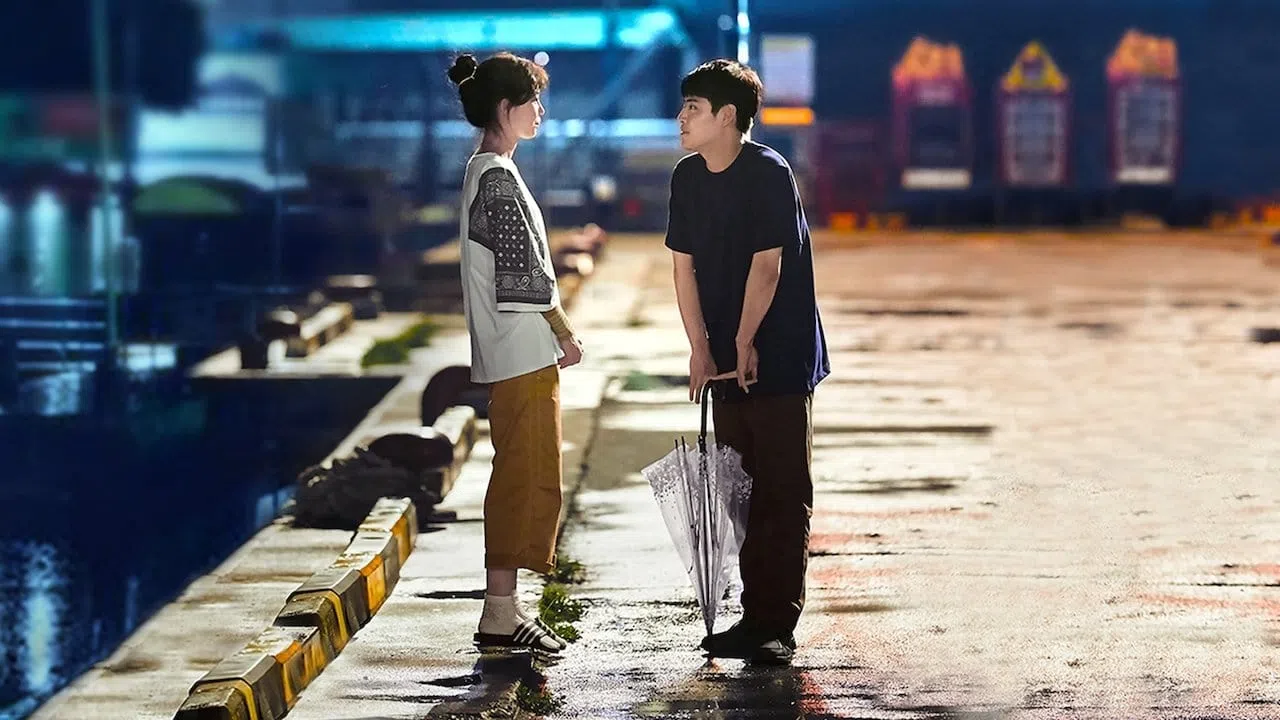 Khi hoa trà nở